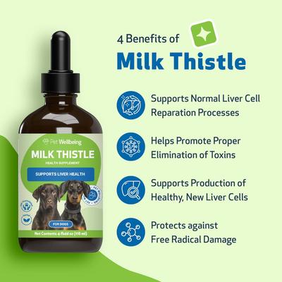 Show full view: Pet Wellbeing Milk Thistle Bacon Flavored Liquid Liver Supplement for Dogs, 4-oz bottle slide 5 of 11