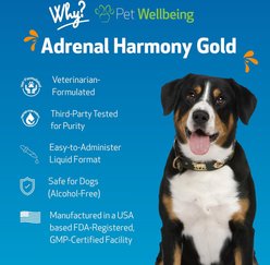 Pet Wellbeing Adrenal Harmony Gold Bacon Flavored Liquid Supplement for Dogs, 2-oz bottle slide 2 of 8