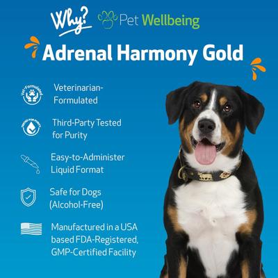 Show full view: Pet Wellbeing Adrenal Harmony Gold Bacon Flavored Liquid Supplement for Dogs, 2-oz bottle slide 4 of 11