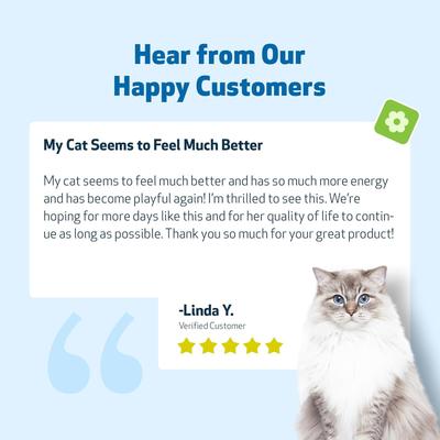 Show full view: Pet Wellbeing Life GOLD Bacon Flavored Liquid Immune Supplement for Cats, 2-oz bottle slide 10 of 11