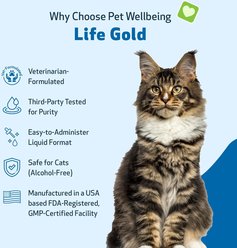 Pet Wellbeing Life GOLD Bacon Flavored Liquid Immune Supplement for Cats, 2-oz bottle slide 2 of 8