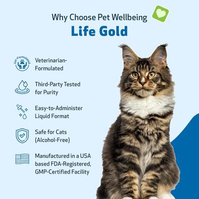 Show full view: Pet Wellbeing Life GOLD Bacon Flavored Liquid Immune Supplement for Cats, 2-oz bottle slide 4 of 11