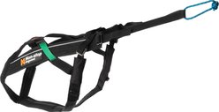 Non-stop Dogwear Freemotion Dog Harness, Black, 7: 24.0 to 36.2-in chest