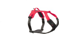 Non-stop Dogwear Ramble Dog Harness, Black/Pink, X-Small: 15.7 to 22.8-in chest
