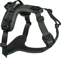 Non-stop Dogwear Ramble Dog Harness, Green, Large: 28.3 to 43.3-in chest