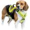 Show in main carousel: allforpaws K-Nite Light Up Reflective Dog Harness, Green, Large: 19 to 33-in chest slide 8 of 10