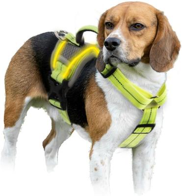 Show full view: allforpaws K-Nite Light Up Reflective Dog Harness, Green, Large: 19 to 33-in chest slide 8 of 10