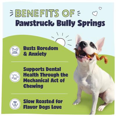 Show full view: Pawstruck Natural 6-inch Bully Stick Springs Dog Treats, 3 count slide 3 of 9