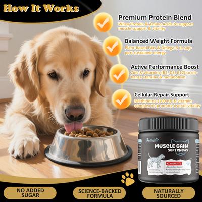 Show full view: Petterm Muscle Gain Salmon Flavored Powder High Calorie Soft Chew Supplement for Dogs, 100 count slide 6 of 9
