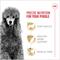 Show in main carousel: Royal Canin Breed Health Nutrition Poodle Adult Dry Dog Food, 2.5-lb bag slide 3 of 12
