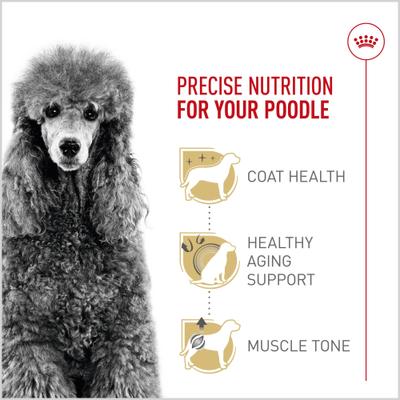 Show full view: Royal Canin Breed Health Nutrition Poodle Adult Dry Dog Food, 2.5-lb bag slide 3 of 12