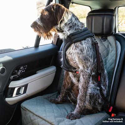 Show full view: KONG Single Seat Cover, Gray & Red slide 2 of 9