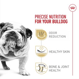 Royal Canin Breed Health Nutrition Bulldog Adult Dry Dog Food, 30-lb bag