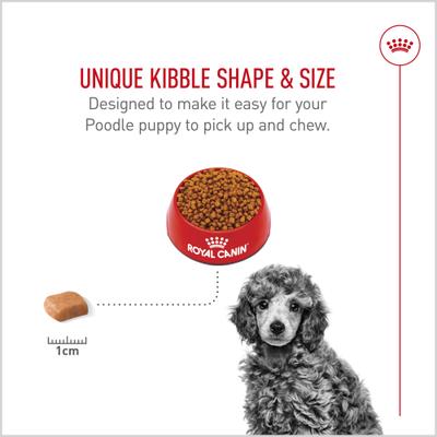 Show full view: Royal Canin Breed Health Nutrition Poodle Puppy Dry Dog Food, 2.5-lb bag slide 4 of 12