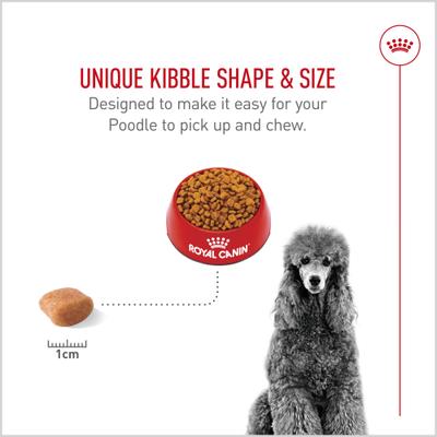 Show full view: Royal Canin Breed Health Nutrition Poodle Adult Dry Dog Food, 10-lb bag slide 4 of 12