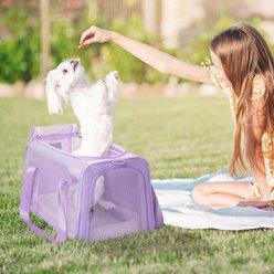 Petsfit Airline Approved Dog & Cat Carrier Bag with Patent Safe Buckles, Purple, Large: 19 x 12 x 12-in slide 2 of 9