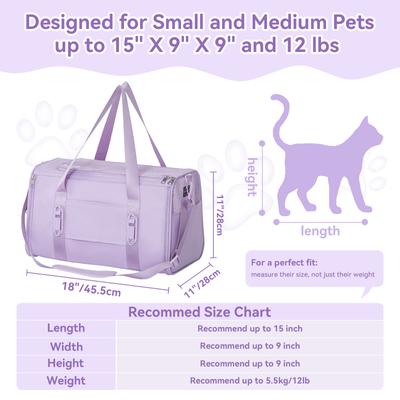 Show full view: Petsfit Airline Approved Dog & Cat Carrier Bag with Patent Safe Buckles, Purple, Medium: 18 x 11 x 11-in slide 3 of 9