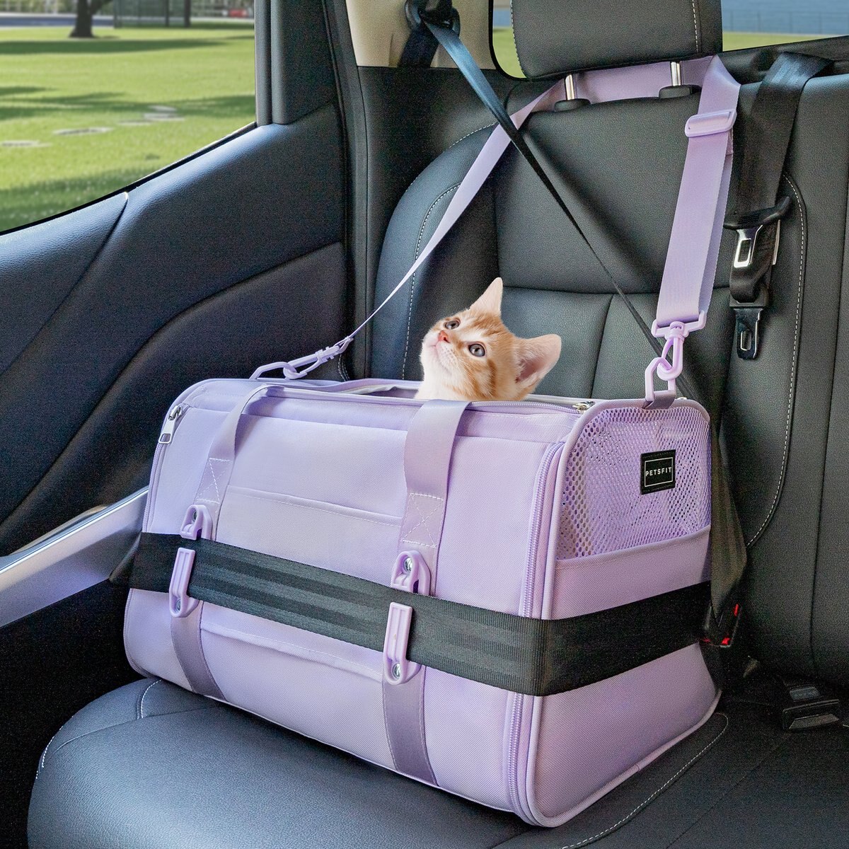 Petsfit Airline Approved Dog & Cat Carrier Bag with Patent Safe Buckles, Purple, Medium: 18 x 11 x 11-in