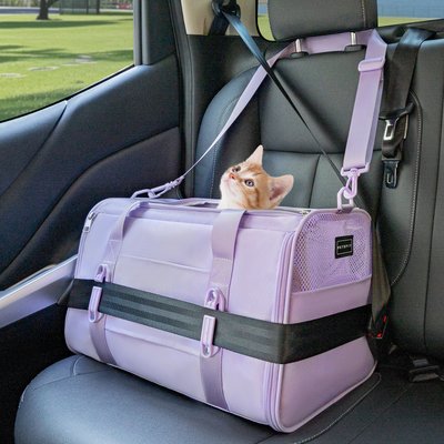 Petsfit Petsfit Airline Approved Dog & Cat Carrier Bag with Patent Safe Buckles, Purple, Medium: 18 x 11 x 11-in