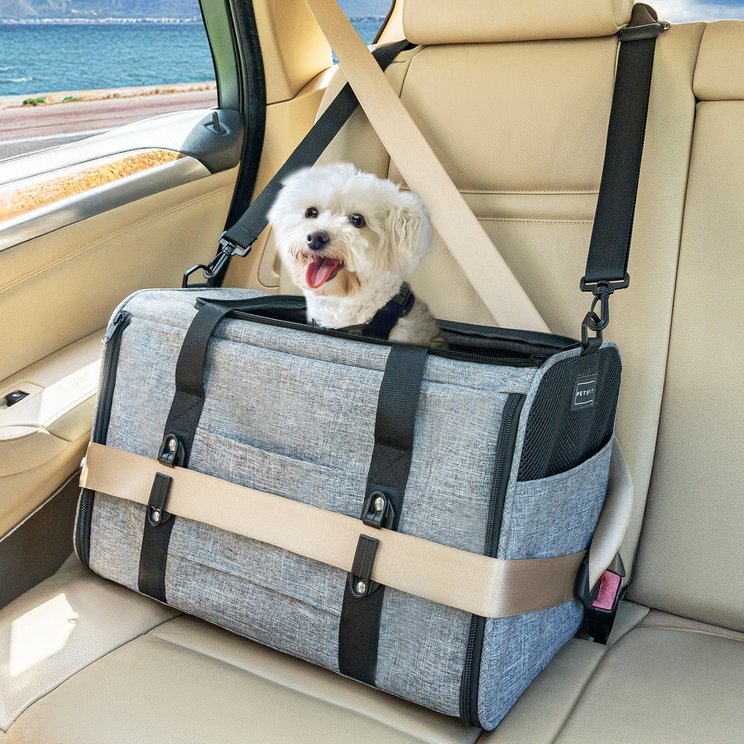 LARGE DOG CARRIERS Free Shipping Chewy