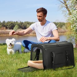 Petsfit Airline Approved Dog & Cat Carrier Bag with Patent Safe Buckles, Black, Large: 19 x 12 x 12-in slide 2 of 9