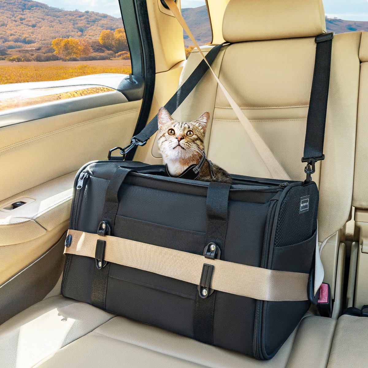 Petsfit Dog & Cat Carrier Bag with Patent Safe Buckles, Black, Medium: 18 x 11 x 11-in