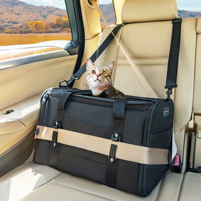 Petsfit Petsfit Dog & Cat Carrier Bag with Patent Safe Buckles, Black, Medium: 18 x 11 x 11-in