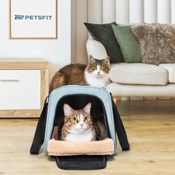 Petsfit Airline Approved Dog & Cat Carrier Bag with Patent Safe Buckles, Cyan Blue, Medium: 18 x 11 x 11-in slide 2 of 8