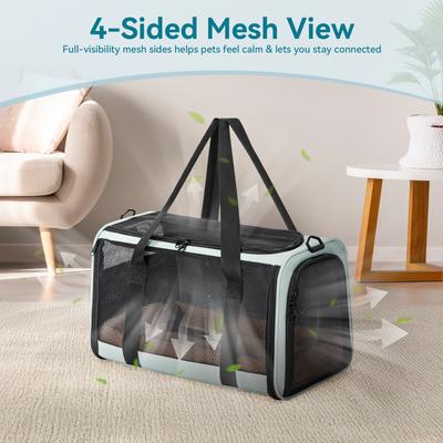 Show full view: Petsfit Airline Approved Dog & Cat Carrier Bag with Patent Safe Buckles, Cyan Blue, Medium: 18 x 11 x 11-in slide 6 of 8
