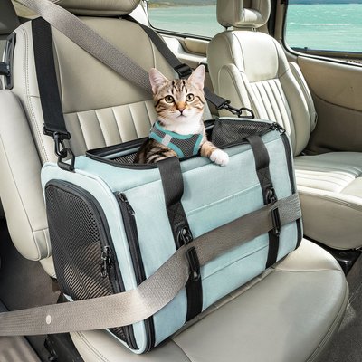 Petsfit Petsfit Dog & Cat Carrier Bag with Patent Safe Buckles, Cyan Blue, Medium: 18 x 11 x 11-in