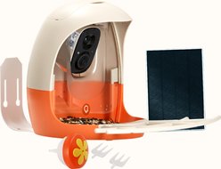 PeckPerk Mini Smart Wild Bird Feeder, Orange slide 1 of 6