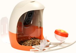 PeckPerk Mini Smart Wild Bird Feeder, Orange slide 2 of 6