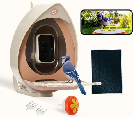 Show full view: PeckPerk AviaPerk I Smart Wild Bird Feeder, Espresso slide 2 of 4