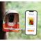 Show in main carousel: PeckPerk Mini Smart Wild Bird Feeder, Orange slide 5 of 6