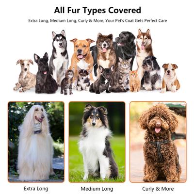 Show full view: PATPET 6-in-1 Tools Dog & Cat Grooming Pet Hair Vacuum Kit, 1.3-L slide 7 of 9