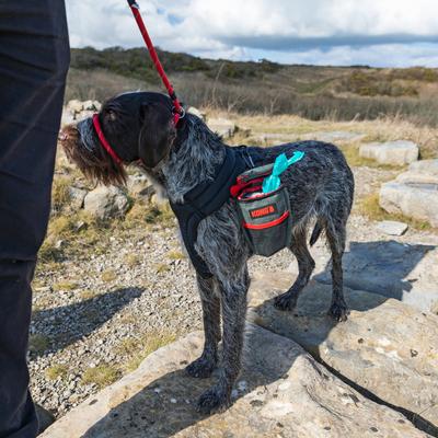 Show full view: KONG Pick-Up Dog Pouch, Red & Black, Small slide 6 of 7