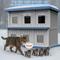 Show in main carousel: Yafylly Double-Decker 6 Room Outdoor Cat House, Gray & Blue slide 5 of 8