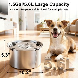 Casfuy Spill Proof Stainless Steel with Non-Skid Base Dog Water Bowl, X-Large: 5.6-L