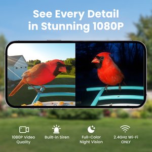 Birdfy Smart Bird Feeder Camera AI Recognition, 1.5L