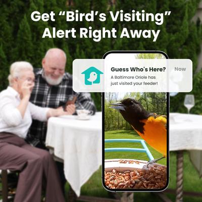 Show full view: Birdfy Smart Bird Feeder Camera AI Recognition, 1.5L slide 3 of 11