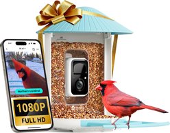Birdfy Smart Bird Feeder Camera AI Recognition, 1.5L