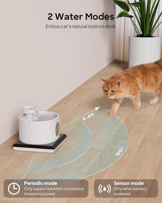 Show full view: PEKTACO Wireless Automatic Rechargeable Battery Operated Cat Water Fountain with 2 Flow Modes, 2.8-L, White slide 6 of 9