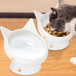 PetNF Ceramic Raised Slanted Cat Food Bowl, White, 2 count