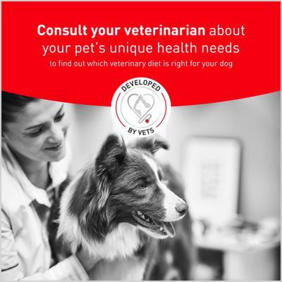 Show full view: Royal Canin Veterinary Diet Adult Glycobalance Loaf in Sauce Canned Dog Food, 13.4-oz, case of 24 slide 9 of 12