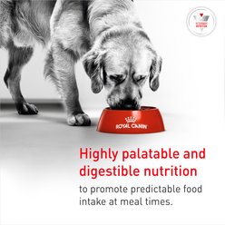 Royal Canin Veterinary Diet Adult Glycobalance Loaf in Sauce Canned Dog Food, 13.4-oz can, 12 count slide 2 of 9