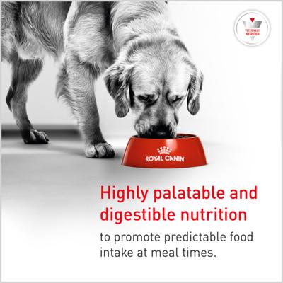 Show full view: Royal Canin Veterinary Diet Adult Glycobalance Loaf in Sauce Canned Dog Food, 13.4-oz, case of 24 slide 6 of 12