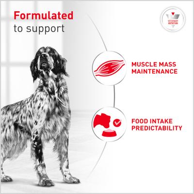 Show full view: Royal Canin Veterinary Diet Adult Glycobalance Loaf in Sauce Canned Dog Food, 13.4-oz, case of 24 slide 5 of 12