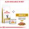 Show in main carousel: Royal Canin Veterinary Diet Adult Urinary SO Moderate Calorie Dry Cat Food, 6-lb bag slide 6 of 13