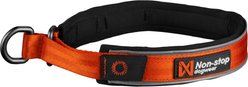 Non-stop Dogwear Cruise Dog Collar, Orange, Small: 13.8 to 15.7-in neck, 1-in wide