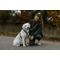 Show in main carousel: Non-stop Dogwear Line 5.0 Dog Harness, Orange, 5: 20.5 to 30.7-in chest slide 8 of 8